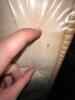 JOINT PAIN HYBRID KING MATTRESS - 4