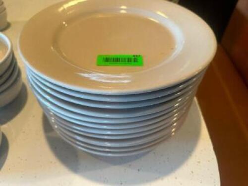 (12) 12" CHINA PLATES