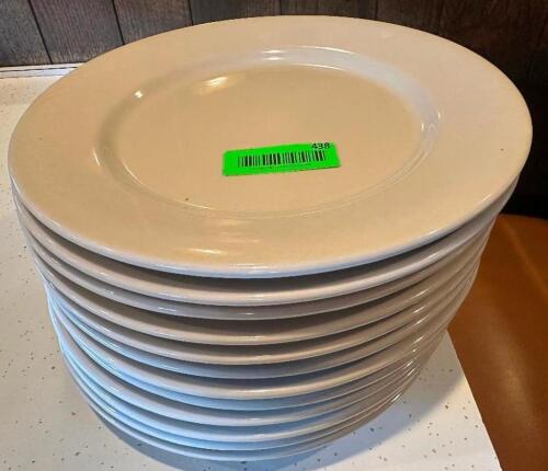 (12) 12" CHINA PLATES