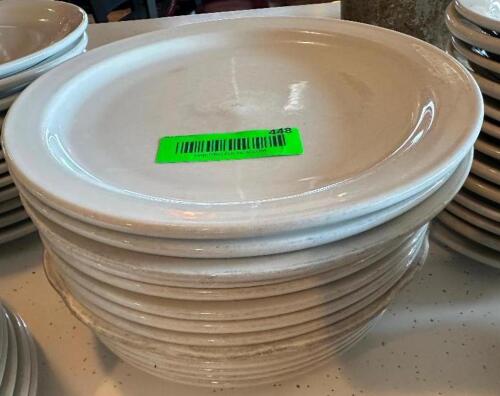 (12) 9" CHINA PLATES