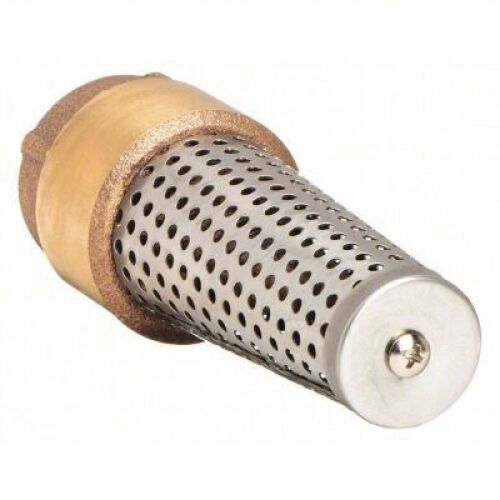 DESCRIPTION: (8) SPRING FOOT VALVE BRAND/MODEL: CAMPBELL #36Y052 INFORMATION: SPRING, NOT FULL FLOW, BRASS, INLINE, 3/4 IN PIPE SIZE, FNPT, PUMPS, NPT