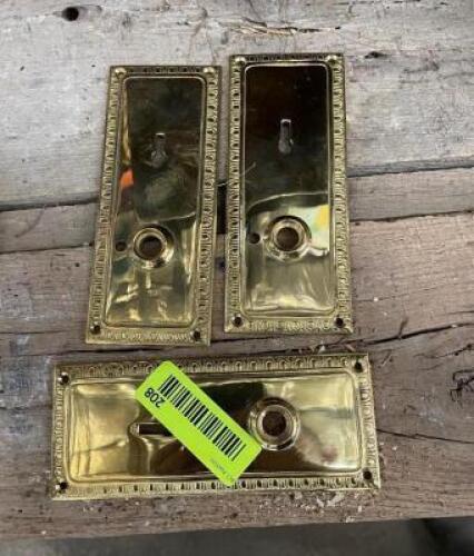 (3) POLISHED BRASS PLATES - 6.75" X 2"