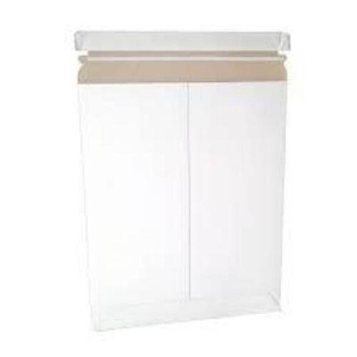 DESCRIPTION: (1) CASE OF (250) MAILERS BRAND/MODEL: STAY-FLATS SIZE: 2.5X2.5X8 RETAIL$: $100.00 EA QTY: 1