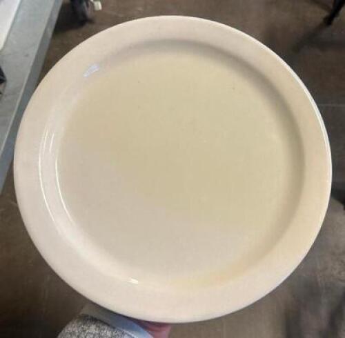 (20) 9" CHINA PLATES