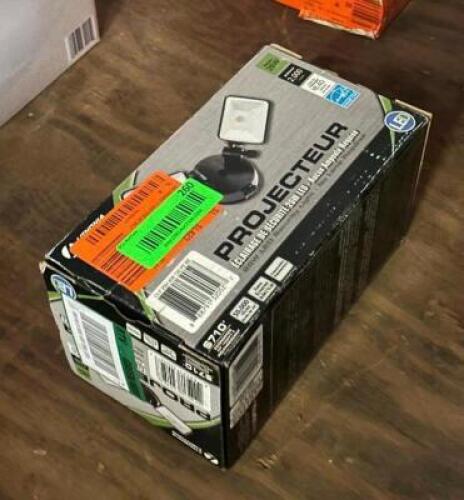 DUAL HEAD SECURITY LIGHT