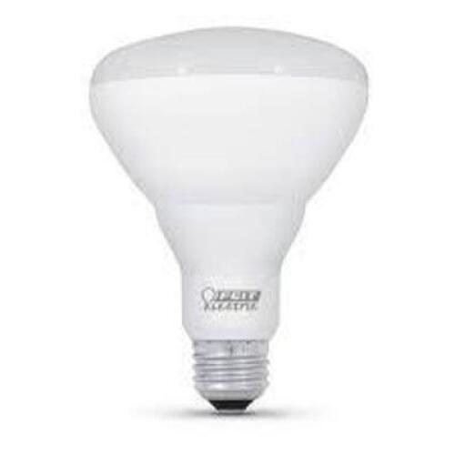 DESCRIPTION: (25) INCANDESCENT LIGHT BULBS BRAND/MODEL: FEIT ELECTRIC #65BR30/SP INFORMATION: 65 WATT, STANDARD BASE RETAIL$: $13.50 EA QTY: 25