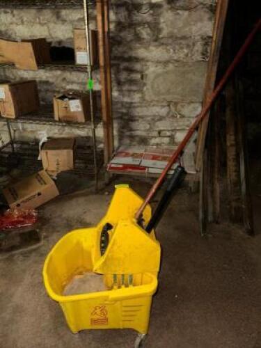 MOP BUCKET AND WRINGER