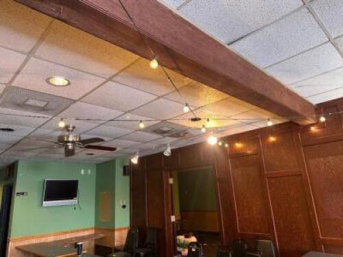 (2) OUTDOOR PATIO LIGHT STRANDS.