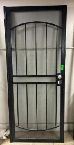 BLACK STEEL SECURITY DOOR