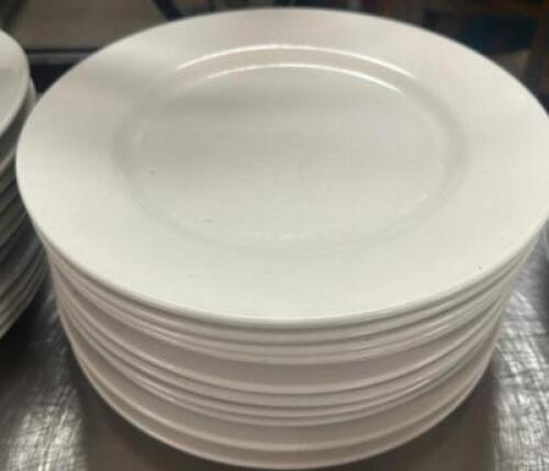 DESCRIPTION (12) 12" CHINA PLATES BRAND / MODEL: LIBBEY THIS LOT IS: SOLD BY THE PIECE SIZE 12" LOCATION BAY 6 QTY 12