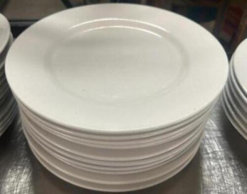 DESCRIPTION (12) 12" CHINA PLATES BRAND / MODEL: LIBBEY THIS LOT IS: SOLD BY THE PIECE SIZE 12" LOCATION BAY 6 QTY 12