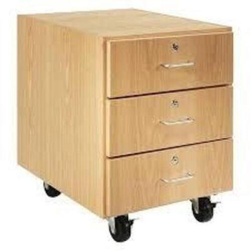 DESCRIPTION: (1) 3 DRAWER CABINETBRAND/MODEL: DIVERSIFIED #M33-2422-H30KINFORMATION: BROWNSIZE: 24"W X 22"D X 30"HRETAIL$: $727.99 EAQTY: 1