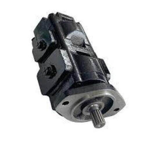 DESCRIPTION: (1) HYDRAULIC PUMP BRAND/MODEL: NEPTUNE #NEP-PMP-ASSY*20481719 INFORMATION: 20/925340 Fits JCB 3CX 4C 4CX 4CN 4C444 214-2 2174 3CXSM 217S