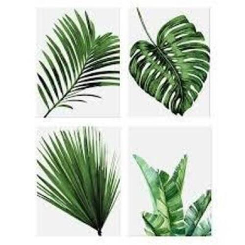DESCRIPTION: (3) PACKS OF (4) PLANT LEAF PAINTINGS SIZE: 12" X 12" RETAIL$: $29.99 EA QTY: 3