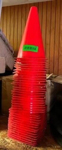 DESCRIPTION: STACK OF PLASTIC CONES LOCATION: 3039 NAMEOKI DRIVE QTY: 1