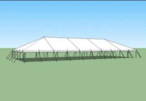 DESCRIPTION: 40X100 WHITE TOP POLE TENT TOP BRAND/MODEL: AFFORDABLE TENT COMPANY INFORMATION: INCLUDES: 2 ENDS (40X20), 3 MIDS (40X20) LOCATION: WAREH