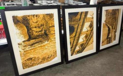 (3) 52" X 30" FRAMED PRINTS
