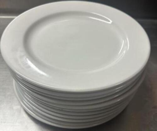 (12) 10.5" CHINA PLATES