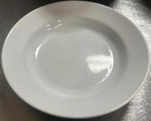 (14) 10.25" CHINA PASTA BOWLS