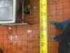8' X 9' "J " SHAPED STAINLESS SOIL TABLE W/ RISER SHELF, SPRAY SINK. - 6