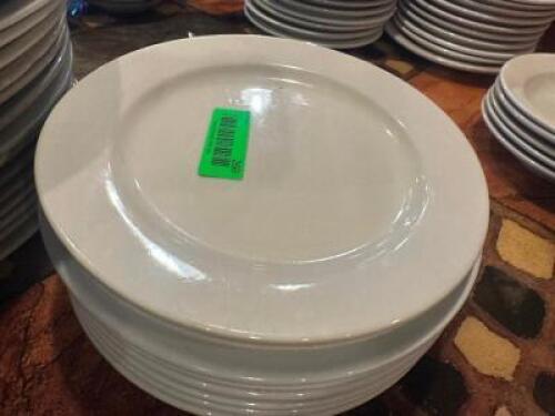 (8) 10" CHINA PLATES
