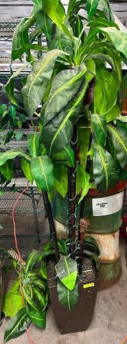 DESCRIPTION 7' FAKE POTTED TREE LOCATION BAY 6 QTY 1