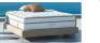 SAATVA CLASSIC 14.5" SOFT PLUSH HYBRID QUEEN