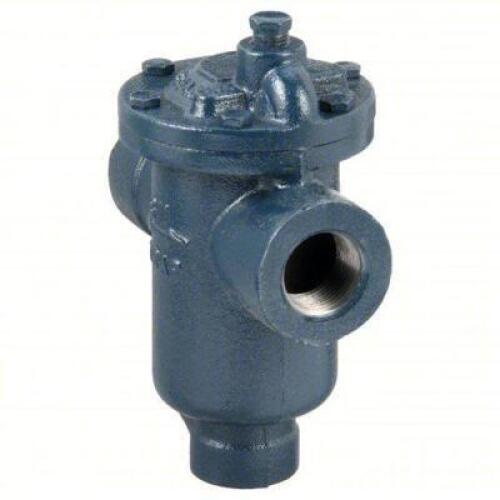 DESCRIPTION: (1) STEAM TRAP BRAND/MODEL: PRODCUT NUMBER #36Y199 INFORMATION: CAST IRON, 1 IN FNPT, 950 LB/HR, 125 PSI MAX., 450&deg;F MAX., STRAINER NOT I