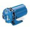 DESCRIPTION: (1) CENTRIFUGAL PUMP BRAND/MODEL: GOULDS WATER TECH #1N530 INFORMATION: BLUE, 1 HP, 115/230V AC, 85 FT MAX HEAD, 1 1/4 IN , 1 IN INTAKE A