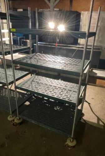 DESCRIPTION: 36" X 24" FOUR TIER METAL RACK. ON CASTERS SIZE: 36" X 24" X 72" LOCATION: BAY 7 QTY: 1