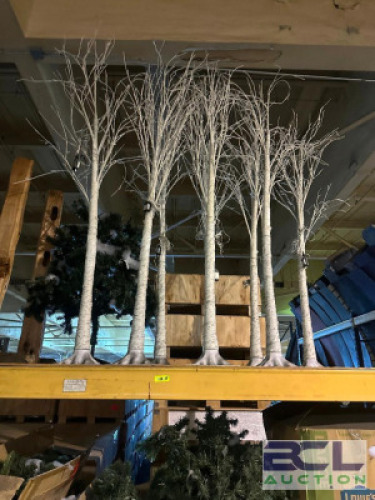 (8) - LIGHTED WINTER BIRCH TREES