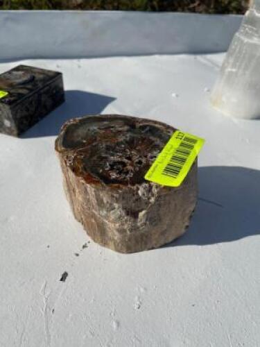 PETRIFIED WOOD CHUNK - 5" X 3"