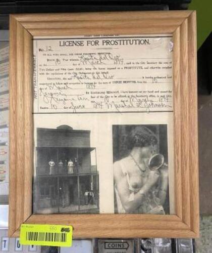 WOOD FRAMED LICENSE PICTURE - SEE ALL PHOTOS - 10" X 12"