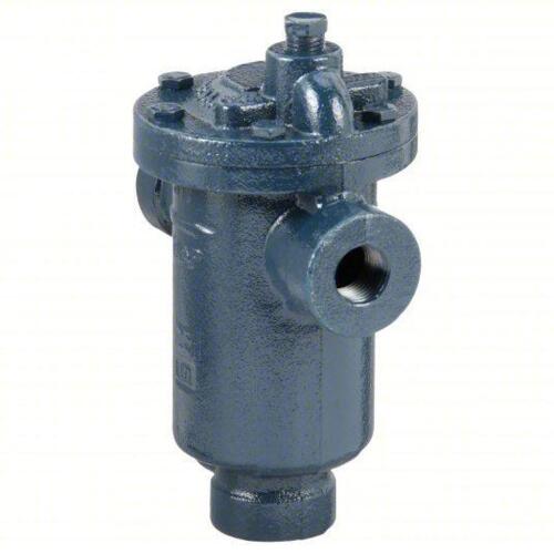 DESCRIPTION: (1) STEAM TRAP BRAND/MODEL: PRODUCT NUMBER #36Y194 INFORMATION: CAST IRON, 1/2 IN FNPT, 750 LB/HR, 250 PSI MAX., 450&deg;F MAX., STRAINER NOT