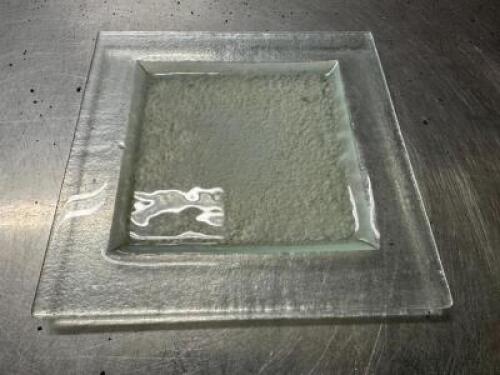 DESCRIPTION (12) 10" X 10" CLEAR GLASS PLATES THIS LOT IS: SOLD BY THE PIECE SIZE 10" X 10" LOCATION BAY 6 QTY 12