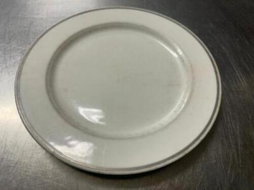 DESCRIPTION (12) 9 1/2" CHINA PLATES BRAND / MODEL: VILLEROY & BOCH THIS LOT IS: SOLD BY THE PIECE SIZE 9 1/2" LOCATION BAY 6 QTY 12