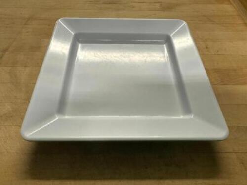 DESCRIPTION (12) 12" X 12" PLASTIC PLATES THIS LOT IS: SOLD BY THE PIECE SIZE 12" X 12" LOCATION BAY 6 QTY 12