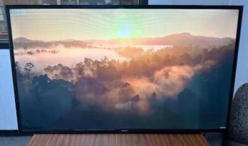 SAMSUNG 48" FLAT SCREEN TV