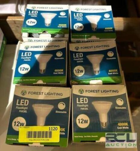 (6) DIMMABLE LED FLOODLIGHT BULBS IN COOL WHITE