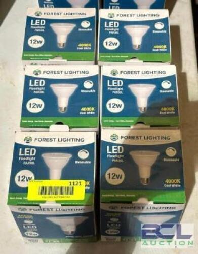 (6) DIMMABLE LED FLOODLIGHT BULBS IN COOL WHITE
