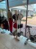 CYCLEBAR BRANDED RETAIL RACK - 4