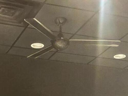 (3) - CEILING FANS