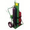 DESCRIPTION: (1) WELDING CYLINDER CART BRAND/MODEL: SAFTCART/5WXF3 INFORMATION: 2 CYLINDER CAPACITY, 780LB LOAD CAPACITY RETAIL$: $1,157.37 SIZE: 12 1 - 4