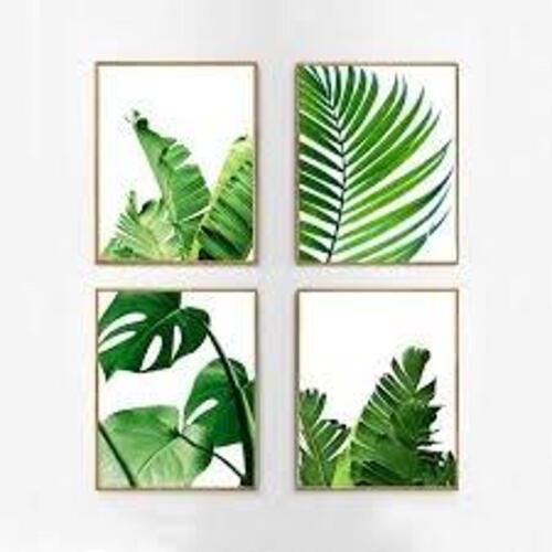 DESCRIPTION: (6) BOXES OF (4) PICTURES OF PLANTS QTY: 6