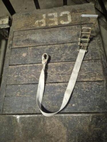 (10) - STD RATCHETS WITH 30" STRAP