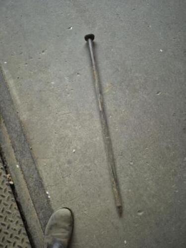 (10) - SINGLE HEAD STAKES