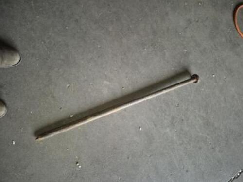 (11) - SINGLE HEAD STAKES