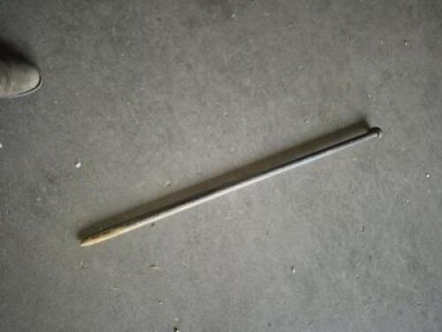 (10) - SINGLE HEAD STAKES