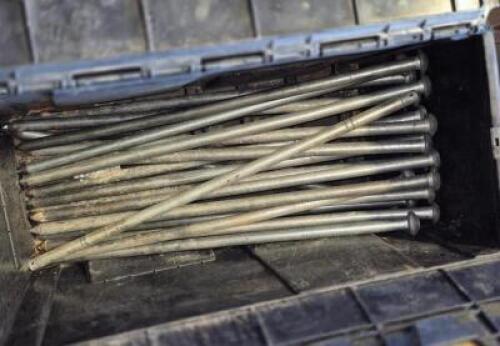 TOTE OF STAKES FOR TENTS
