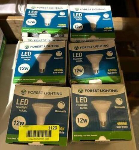 (6) DIMMABLE LED FLOODLIGHT BULBS IN COOL WHITE
